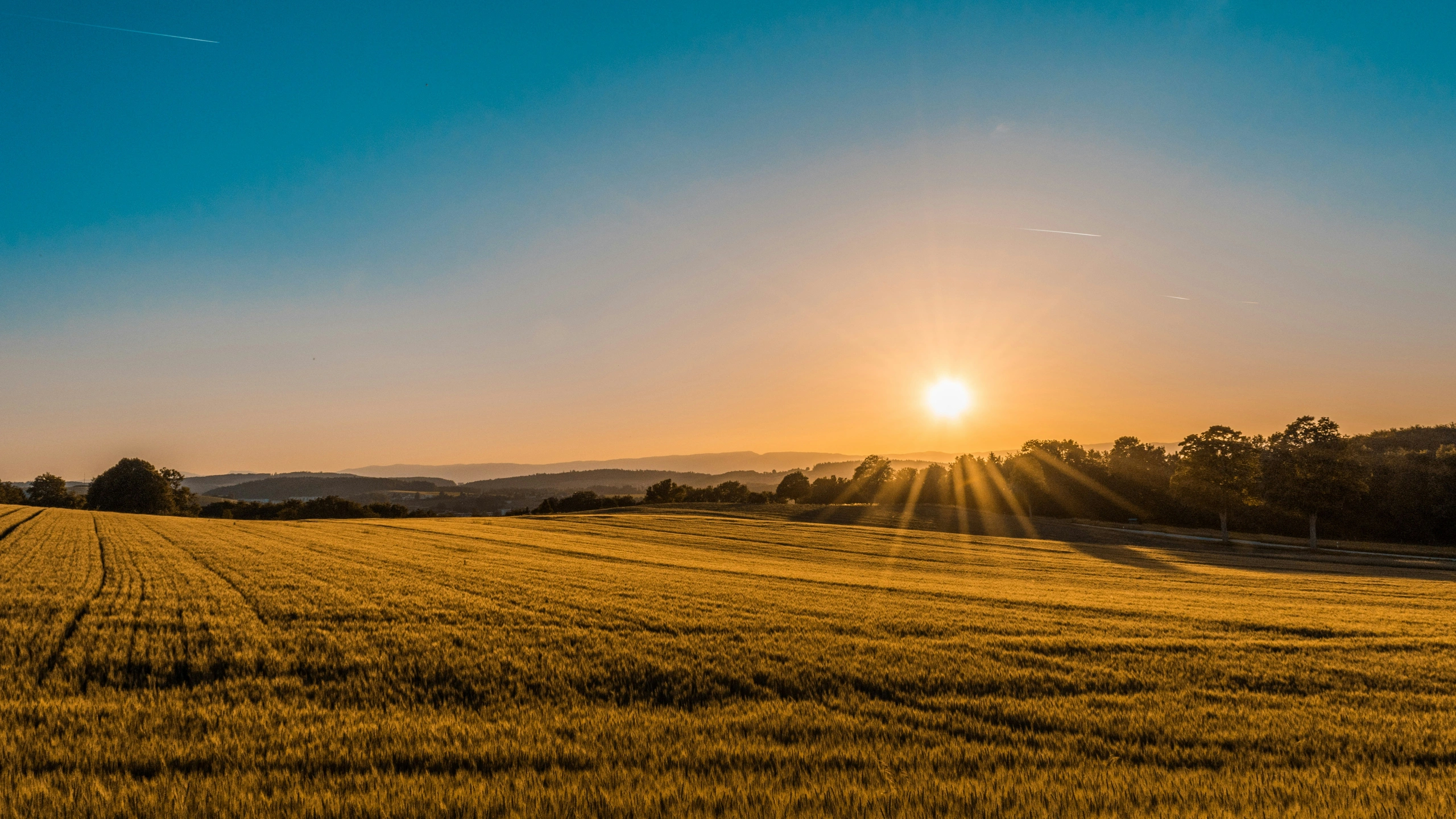 Cultivated fields across productive agricultural land